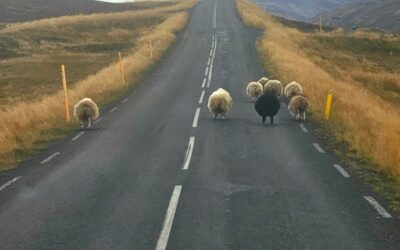 How to save money on car rental and transportation in Iceland